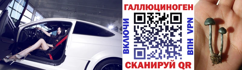 Галлюциногенные грибы мицелий  KRAKEN   Козельск  где найти наркотики 